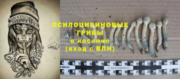 гидра Белокуриха