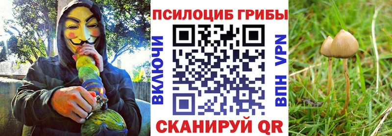 ссылка на мегу ONION  дарк нет как зайти  Галлюциногенные грибы мицелий  Фёдоровский 